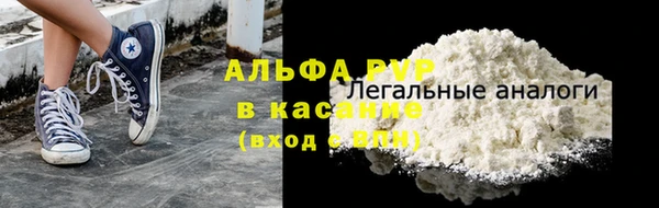 эйфоретик Покачи