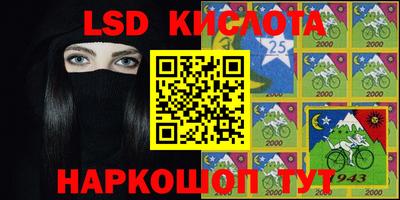 гашик Дубна