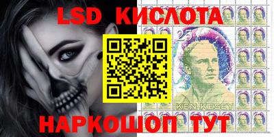 гашик Дубна