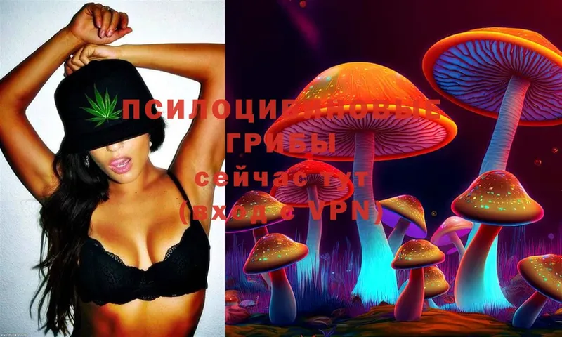 Галлюциногенные грибы Psilocybe  Корсаков 